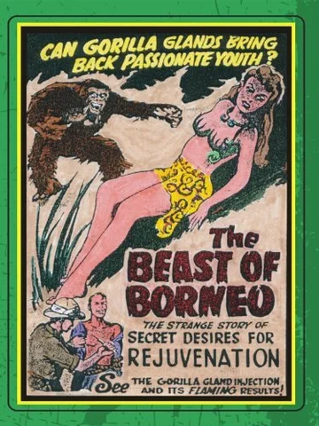 Постер: The Beast of Borneo