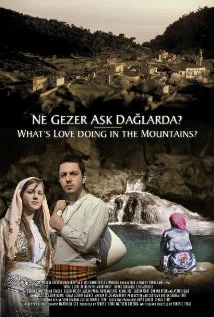 Постер: What's Love Doing in the Mountains?