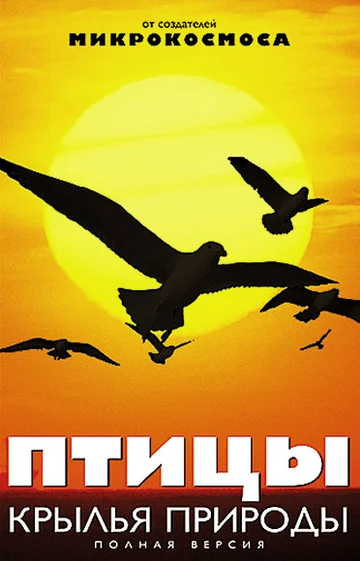 Постер: Птицы: Крылья природы