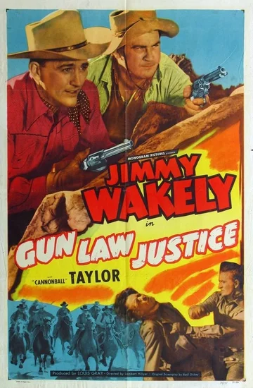Постер: Gun Law Justice