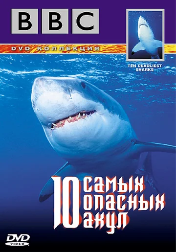 Постер: BBC: 10 самых опасных акул