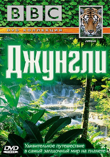 Постер: BBC: Джунгли