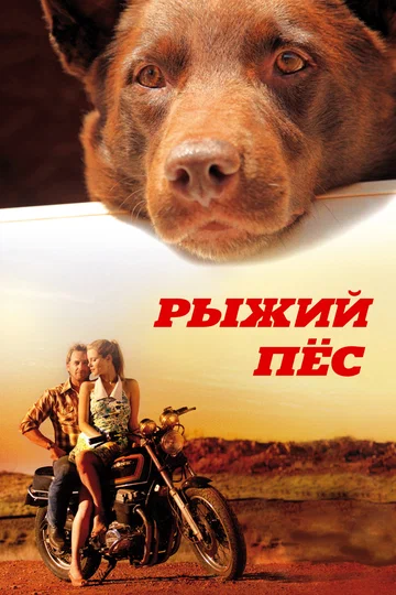 Постер: Рыжий пес