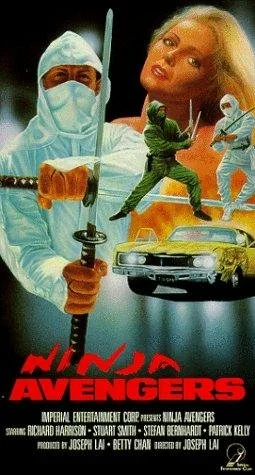Постер: Ninja Avengers