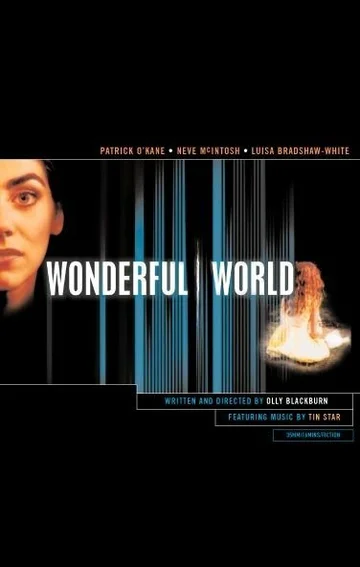 Постер: Wonderful World