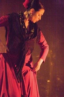 Постер: Red Phoenix