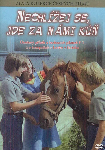Постер: Не оглядывайся, за нами лошадь!