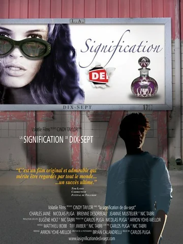 Постер: The S1gnificance of Se7enteen