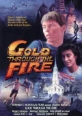 Постер: Gold Through the Fire