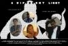Постер: A Different Light