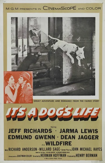 Постер: It's a Dog's Life
