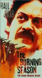 Постер: Огненный сезон