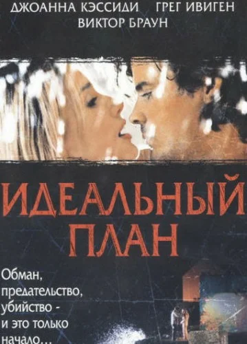 Постер: Идеальный план