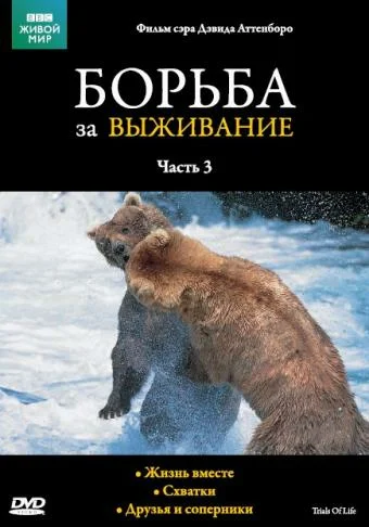 Постер: BBC: Борьба за выживание