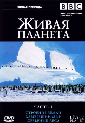 Постер: BBC: Живая планета