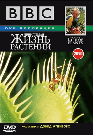 Постер: BBC: Невидимая жизнь растений