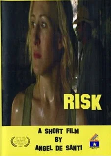 Постер: Risk