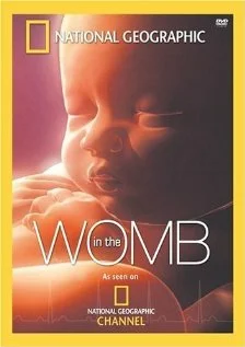 Постер: Life Before Birth