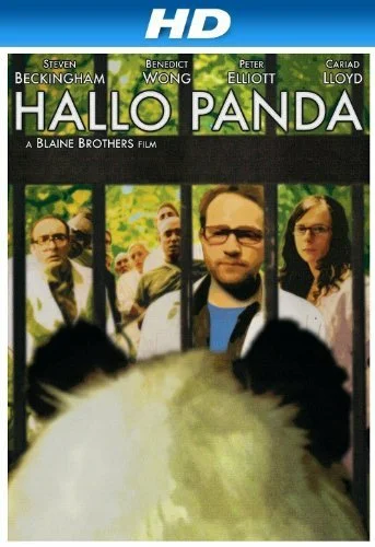 Постер: Hallo Panda