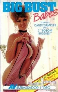 Постер: Big Bust Babes