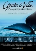 Постер: Gigantes de Valdés