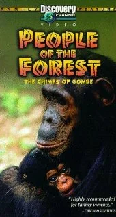 Постер: People of the Forest: The Chimps of Gombe