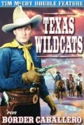 Постер: Texas Wildcats
