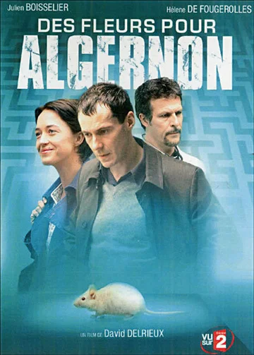 Постер: Цветы для Алджернона
