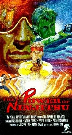 Постер: The Power of Ninjitsu