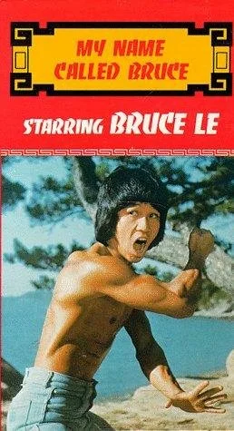 Постер: Pi li long quan