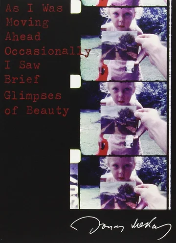 Постер: Двигаясь вперед, иногда я видел краткие проблески красоты