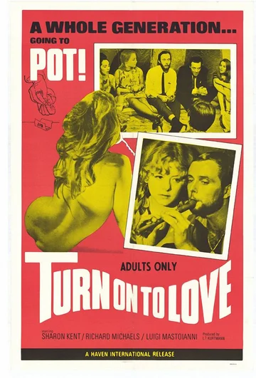 Постер: Turn on to Love