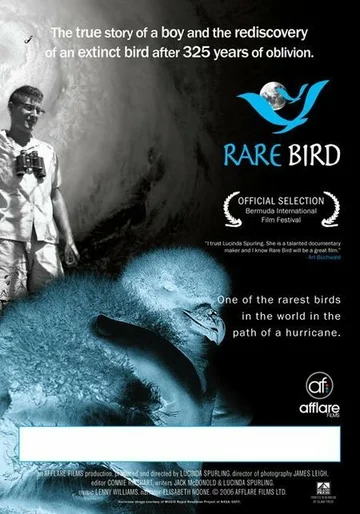 Постер: Rare Bird