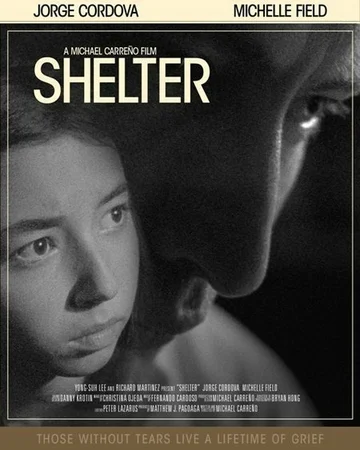 Постер: Shelter