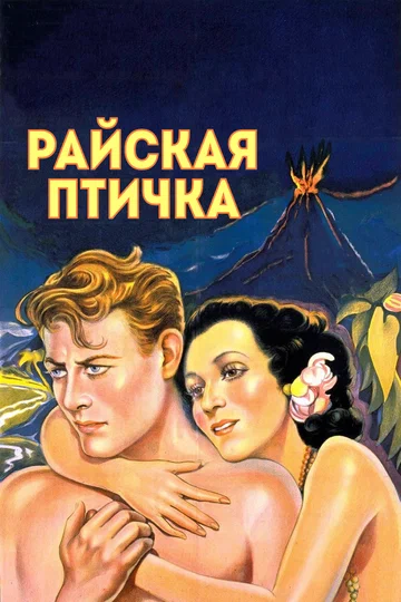 Постер: Райская птичка