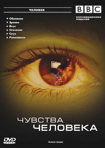 Постер: BBC: Чувства человека