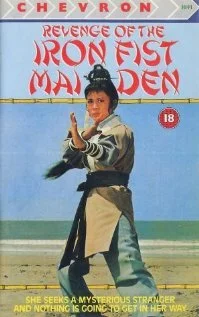 Постер: Gai shi quan