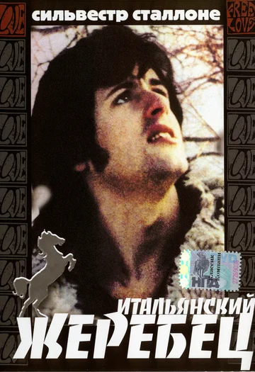Постер: Итальянский жеребец