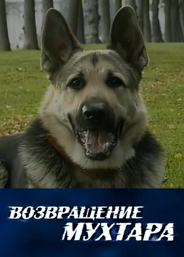 Постер: Возвращение Мухтара