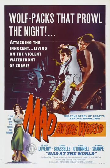 Постер: Mad at the World