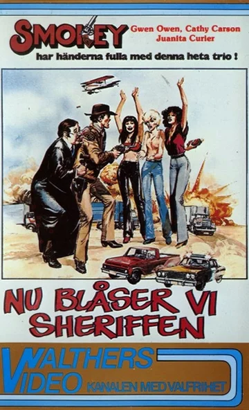 Постер: Smokey and the Judge