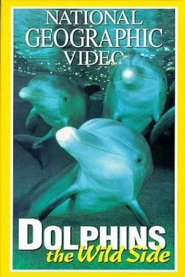 Постер: Dolphins: The Wild Side