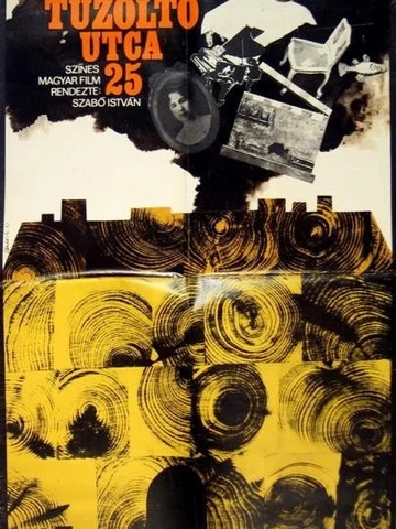 Постер: Улица Тюзолто, 25