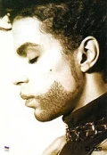 Постер: Prince: The Hits Collection