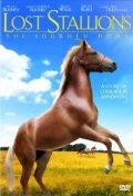 Постер: Lost Stallions: The Journey Home