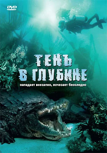 Постер: Тень в глубине