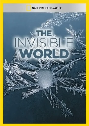 Постер: National Geographic: The Invisible World