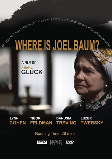 Постер: Where Is Joel Baum?