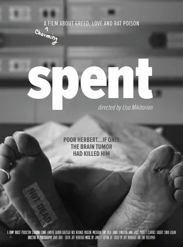 Постер: Spent