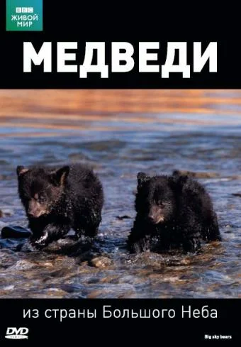 Постер: BBC: Медведи из страны большого неба